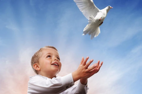 Boy releasing a dove on his birthday in Towson, MD.